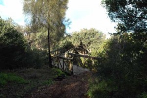 Walking trail - bridge over gully