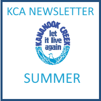 KCA News Summer 2022